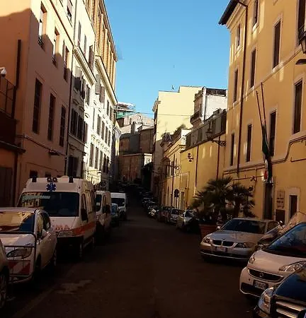 Colosseo's Guest